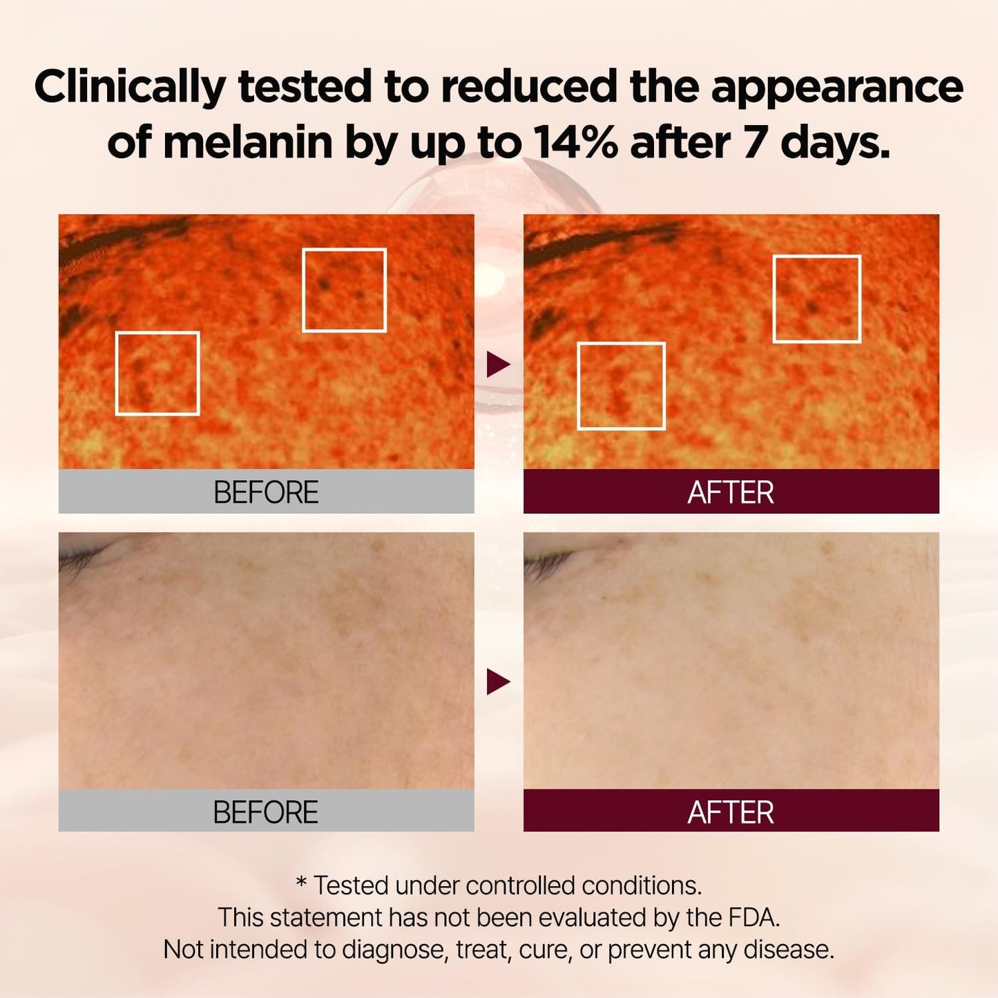 PONG DANG Midnight Mela Reset Vita23