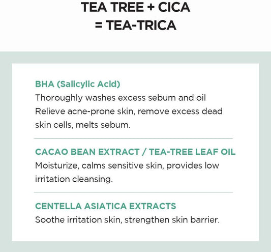 SKIN1004 Madagascar Centella Tea-Trica BHA Foam 125ml