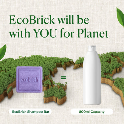 Eco Brick Mild Acidic Shampoo Bar – Normal Hair Care