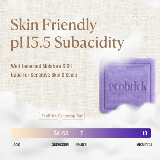 Eco Brick Mild Acidic Shampoo Bar – Normal Hair Care